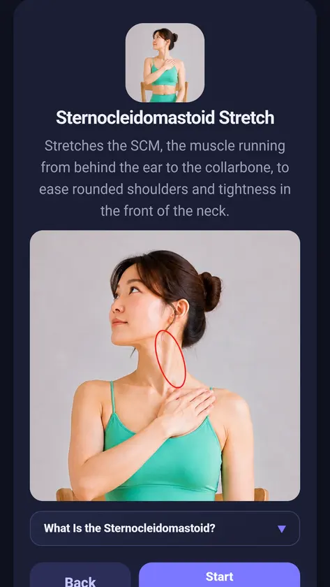 Correct Neck screenshot 10