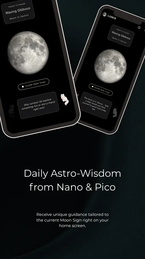 LUNIS screenshot 2