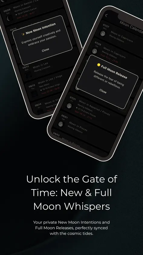 LUNIS screenshot 4