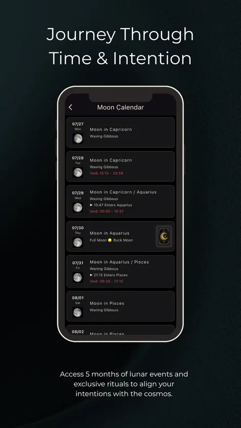LUNIS screenshot 3