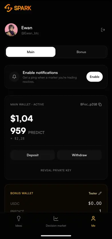 Spark screenshot 3