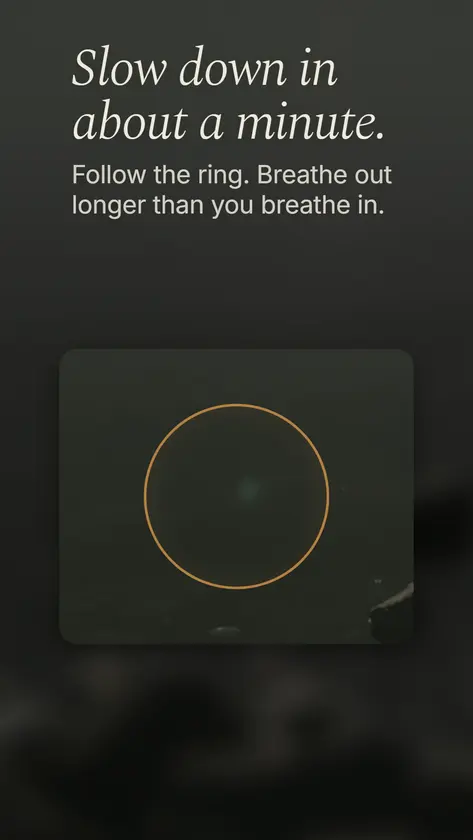 Whitespace Meditation screenshot 3