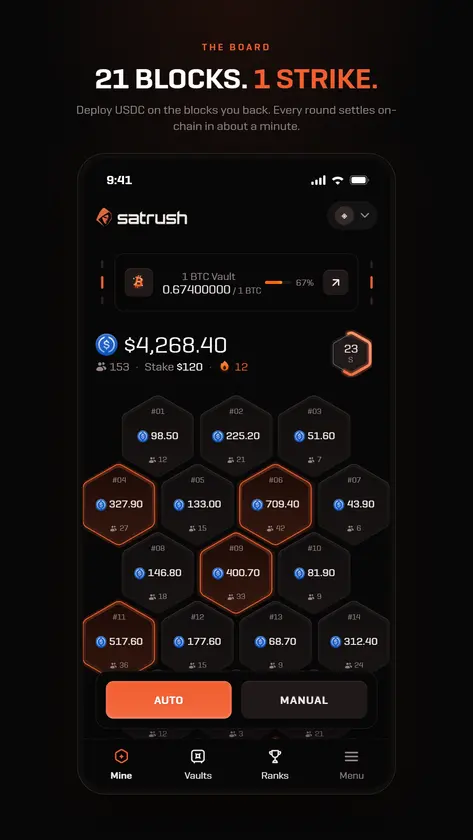 Sat Rush screenshot 1