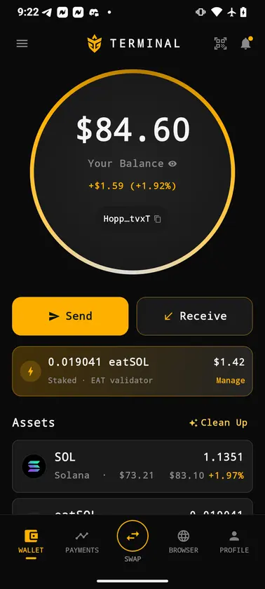Terminal screenshot 1