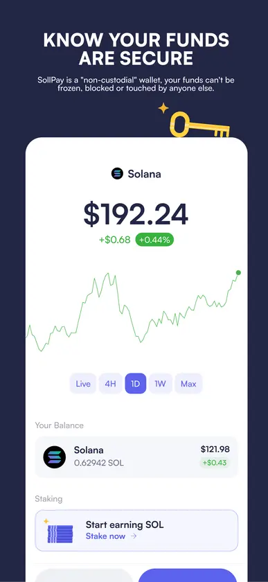 SollPay screenshot 4