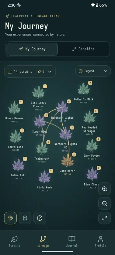 LeafPrint screenshot 5