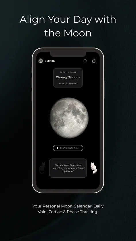 LUNIS screenshot 1