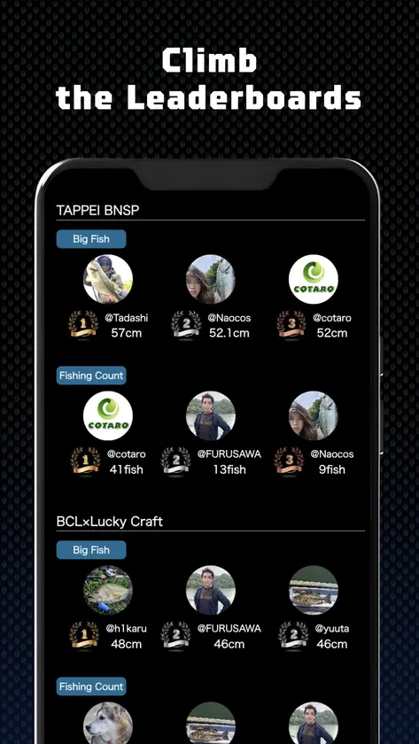 BCL screenshot 3