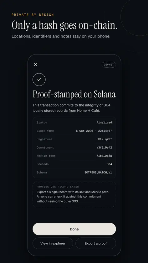 Sotreus screenshot 7