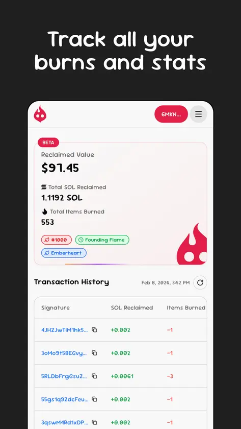 Burnlify screenshot 6