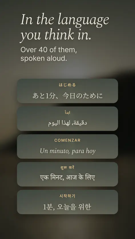 Whitespace Meditation screenshot 4