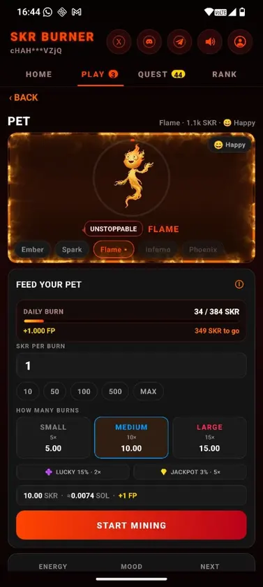 SKR Burner screenshot 3