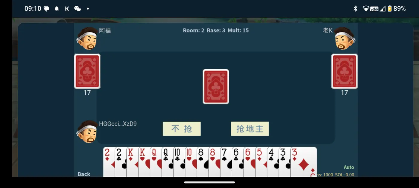 DouDiZhu screenshot 2