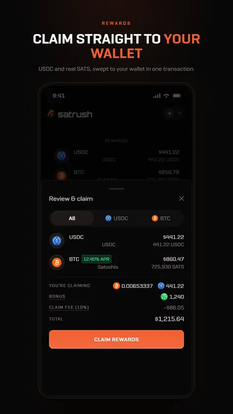 Sat Rush screenshot 3