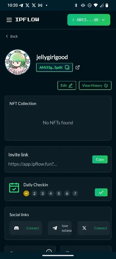 IPFLOW screenshot 4